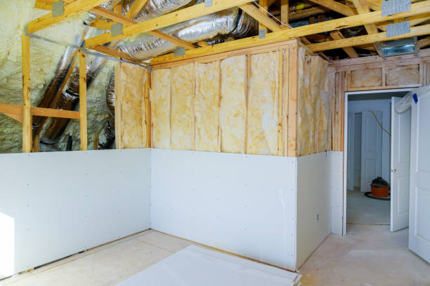 Best Cellulose Insulation  in Breckenridge, MN